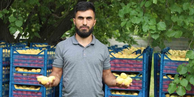 Iğdır'ın sarı altını! Kayısıyı ayıran özellik bu diyen vatandaş tonlarca geliyor dedi! Fiyatlarına ilişkin açıklama