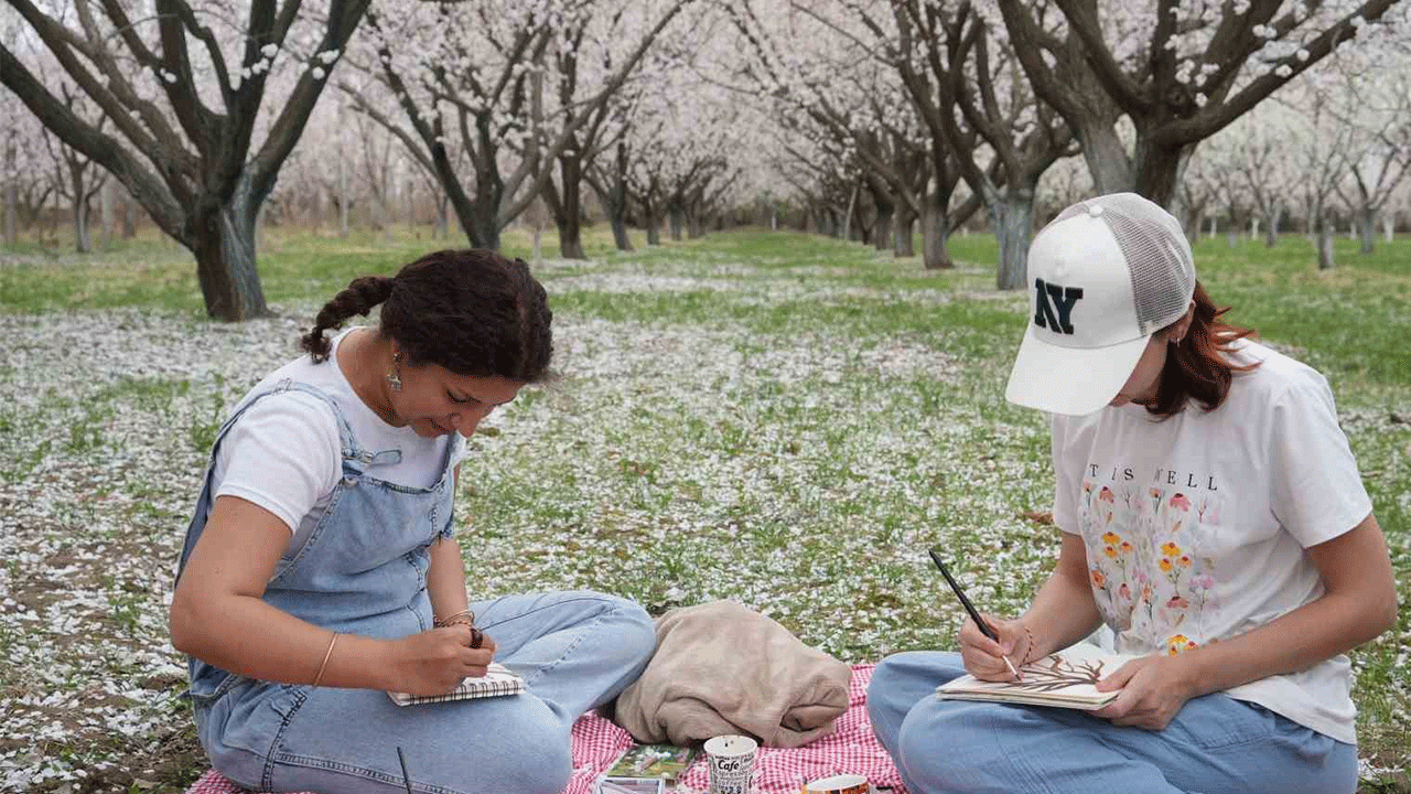 Iğrdır'da kayısı ağaçlarının kartpostallık görüntüleri!