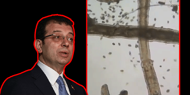 İğrenç görüntüler! İşte Ekrem’in ‘ben de içiyorum’ dediği musluk suyu