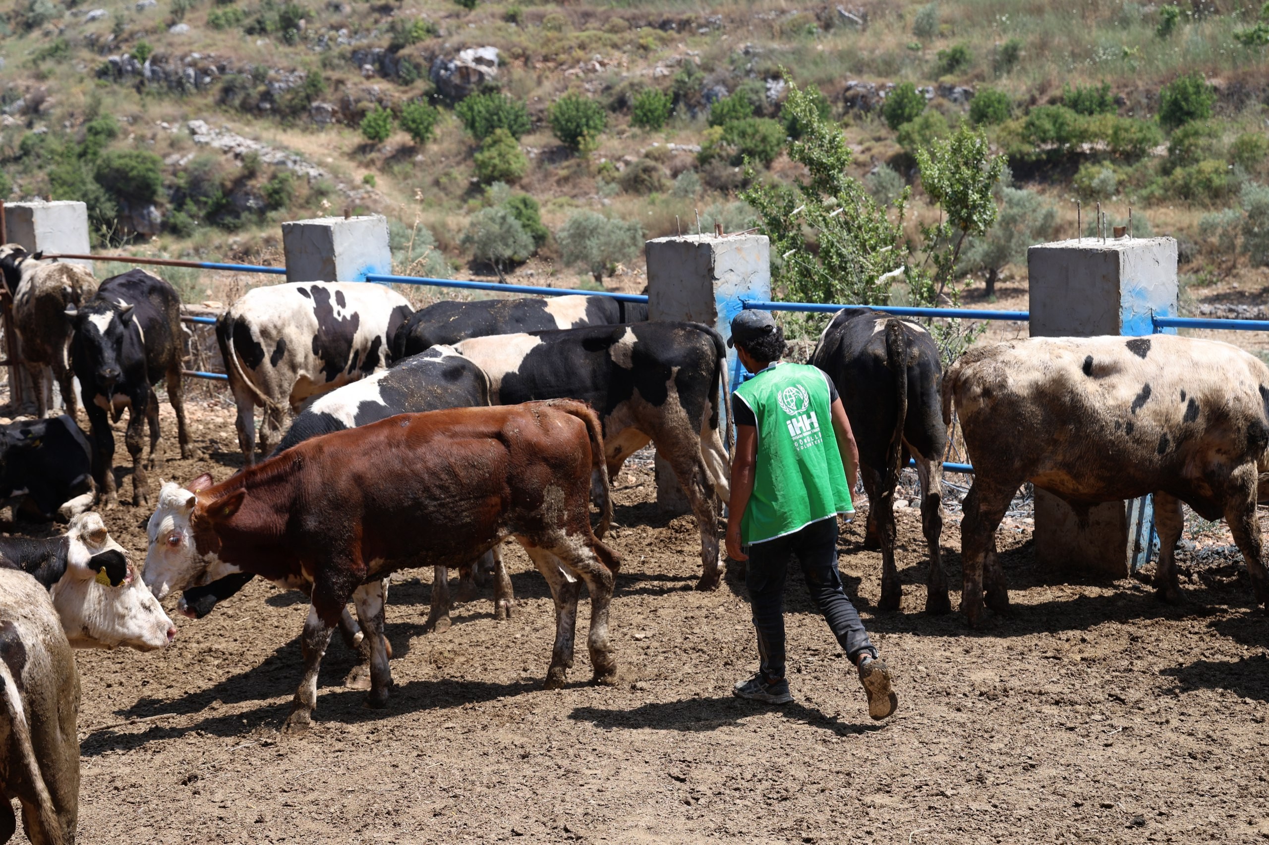 "İHH olarak Kurban Bayramı hazırlıklarımızı tamamladık"