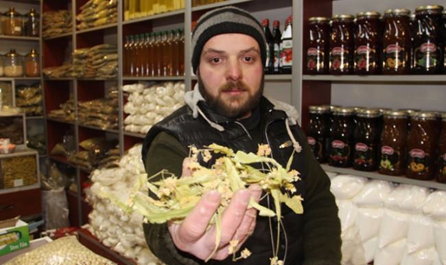 Ihlamur çeyrek altınla yarışıyor!