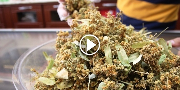 Ihlamur fiyatı altını solladı!