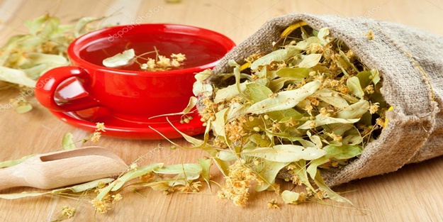 Ihlamur her övgüye değer