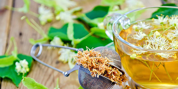 Ihlamur, hiç bir bitki onu geçecek güçte değil! Şifa saçıyor