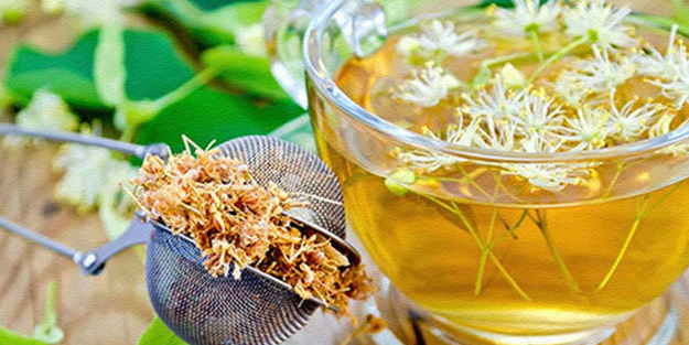 Ihlamur neye iyi gelir? İlacın yerini alan alternatif tedavi: Bu bilgileri ilk kez okuyacaksınız! Bunu kimse bilmiyor