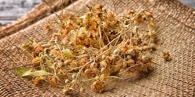 Ihlamur'daki büyük tehlikeye dikkat