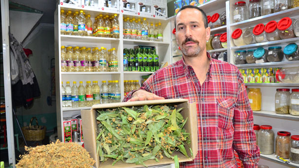 Ihlamurun kilosu 350 lirayı gördü