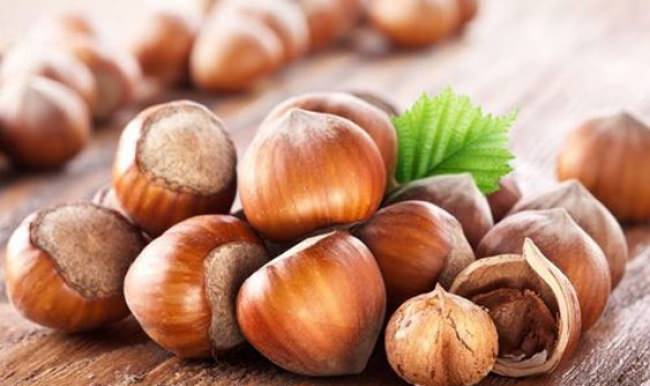 İhraç edilen fındığın yüzde 52'si Trabzon'dan