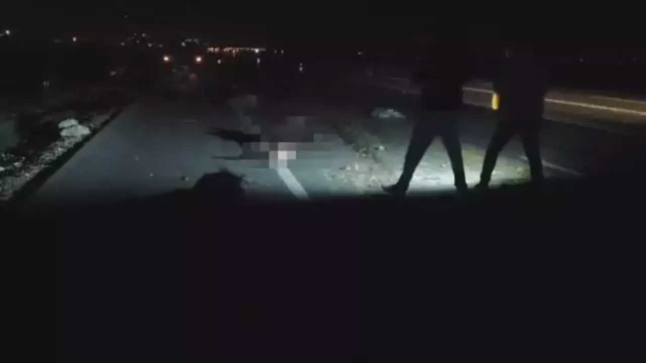 İki araç sürüye daldı! Hayvanlar telef oldu