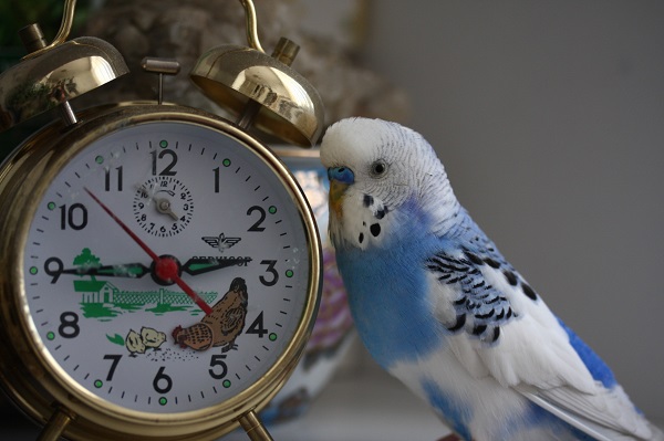 İki aydır her yerde aranıyor!