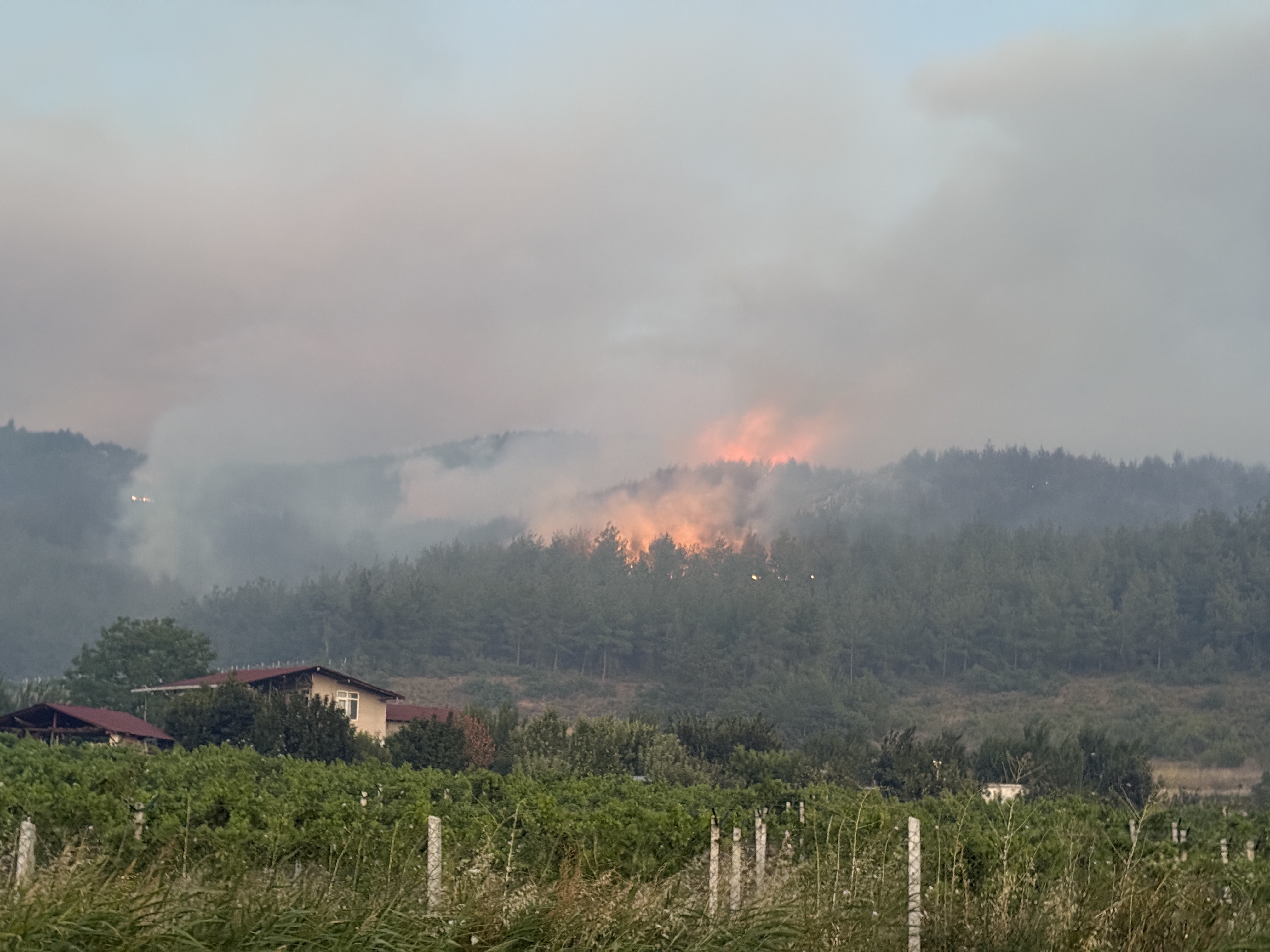 İki çocuğun boğulduğu nehirde çok sayıda ekip çalışmalara katıldı