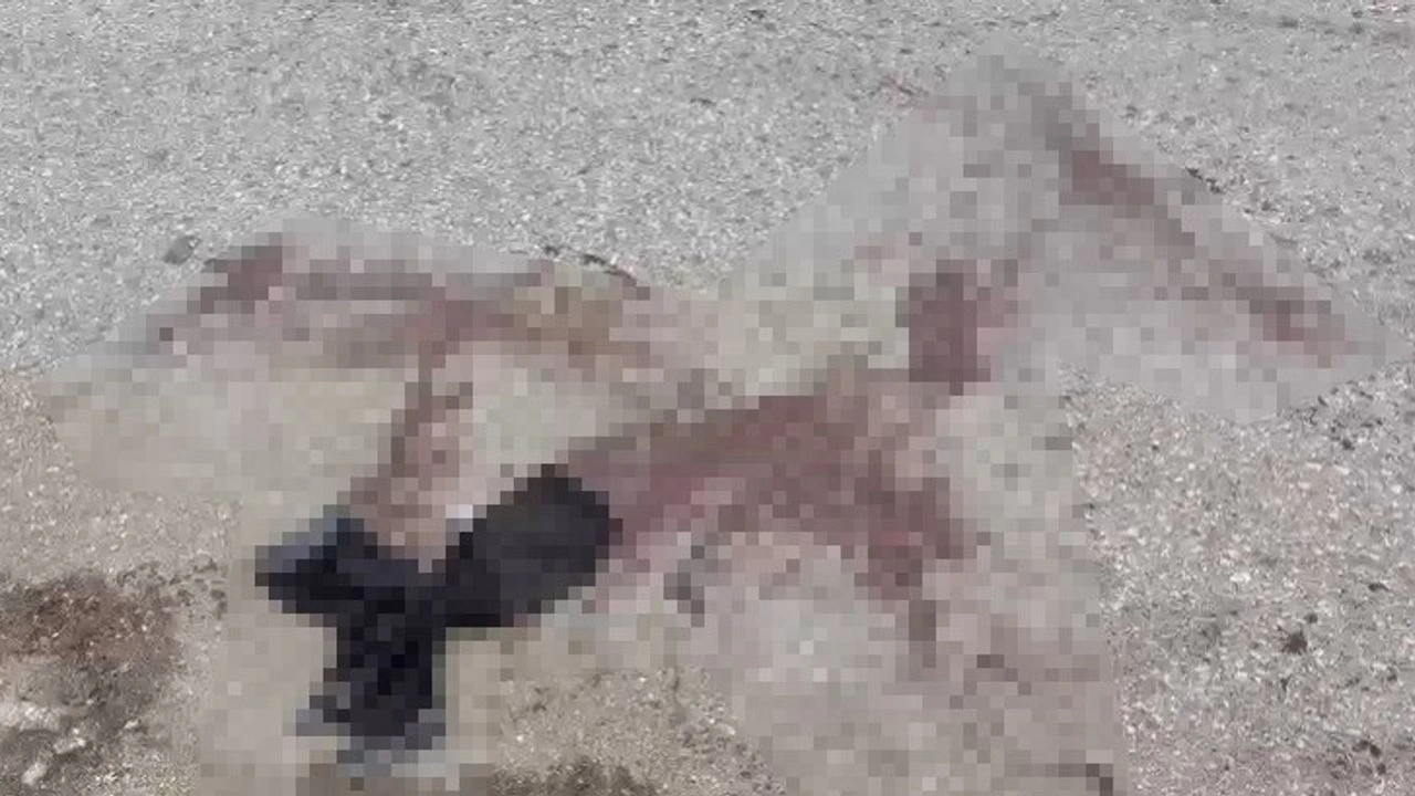 İki esnafın tartışması adeta meydan savaşına döndü: 7 yaralı