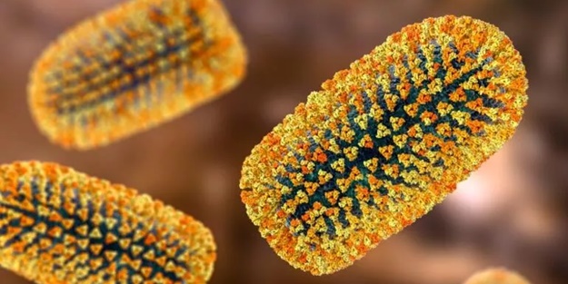 İki mahalle kuduz nedeniyle karantinaya alındı