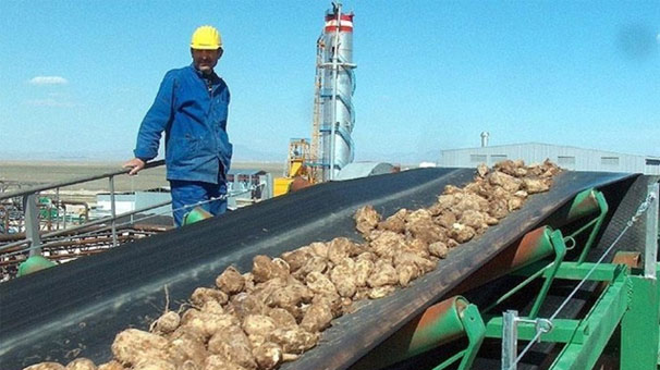 İki şeker fabrikası ihalesi için başvuru süresi uzatıldı