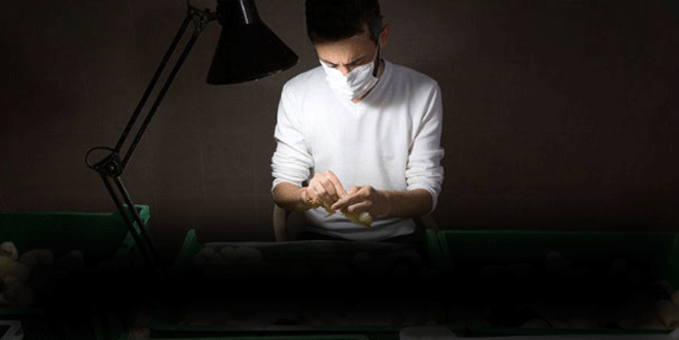 İki Türk o ülkede bu işi yapıp ayda 32 bin TL alacaklar