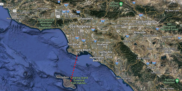 İki Türk sporcu, California'daki Catalina Kanalı'nı 13 saatte yüzerek geçti