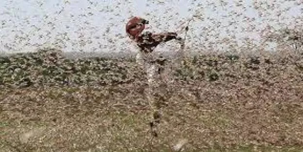 İki ülkeyi ikaz ettiler: İstila geliyor