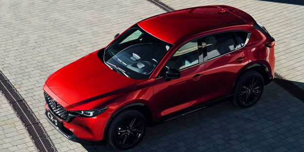 İki ünlü otomobil markasında güvenlik skandalı