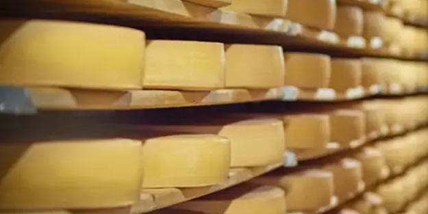 İki ünlü Türk peynir üreticisinden kötü haber! Konkordato talep ettiler