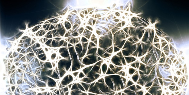 İki yüzlü beyin hücrelerinin olduğu iddia edilmişti, doğrulandı: Sonuç almak için devam..! Bakın detaylar ne!