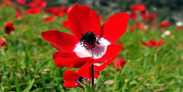 İkinci cemre ne zaman, nereye düşecek?