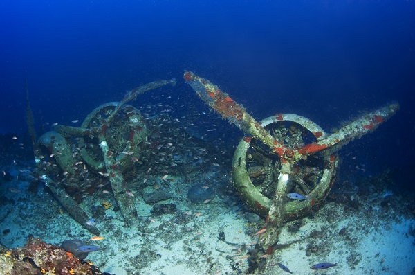 İkinci Dünya Savaşı’ndan kalma! Kaş açıklarında görüntülendi
