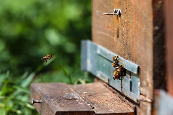 İklim değişikliği en çok onları etkiledi