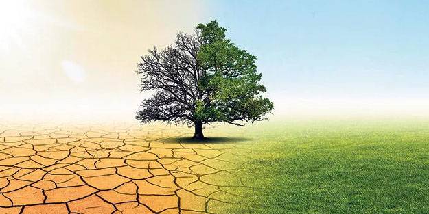 İklim değişikliği kadın sağlığını etkiliyor. İklim değişikliği insanları nasıl etkiler?