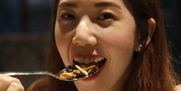 İklim değişikliği raporunun arkasından da Bill Gates ile Soros çıktı! "Dana eti yerine böcek yiyin" dayatması