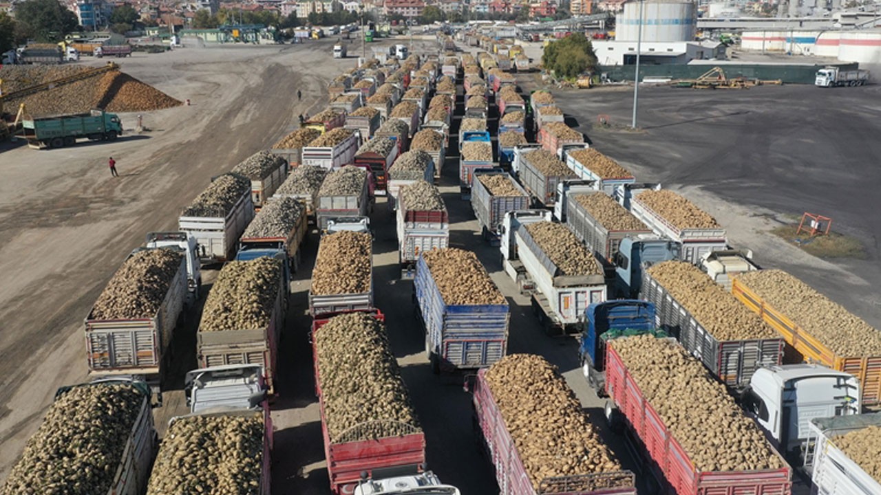 İklim değişikliği şekeri vurdu!