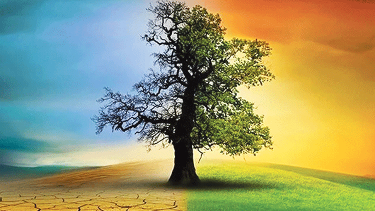 İklim kanunu üzerine