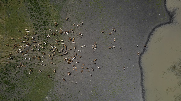 İklim krizinin en net örneği: Mışko Gölü