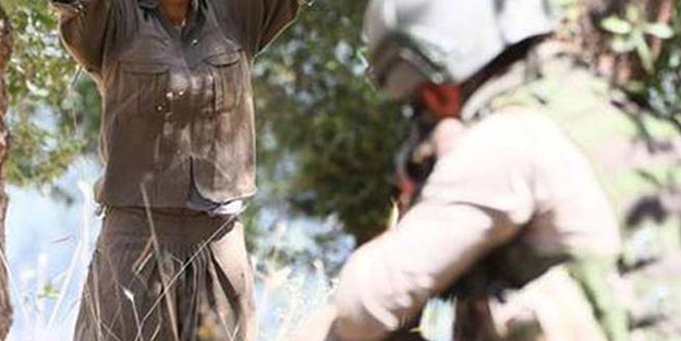 İkna edilen PKK'lı terörist güvenlik güçlerine teslim oldu