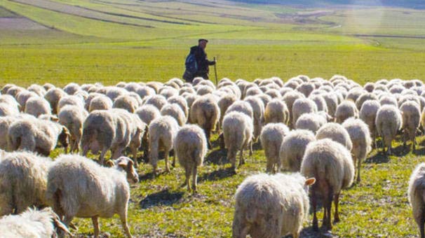 İkram edilen suyu içti! Büyük şok yaşadı