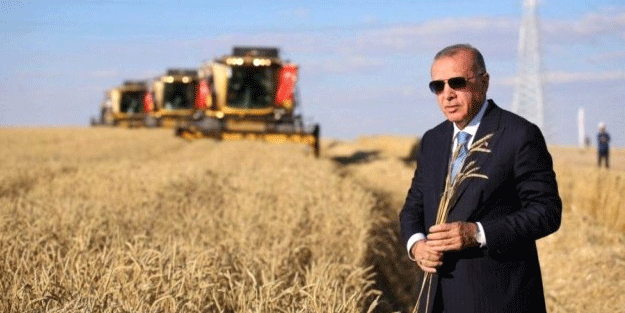İl başkanı talep etti, Erdoğan çözüme kavuşturdu! Ülke tarımı için tarihi hamle