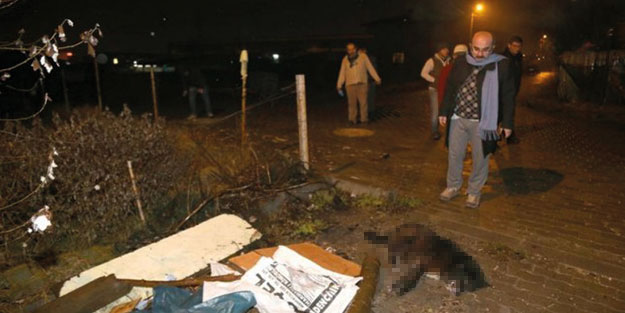 İl diken üstünde! Her yerde hayvan ölüleri bulunuyor