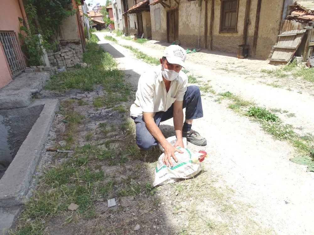 İlginç bir kümes hayvanı kesim usulü 