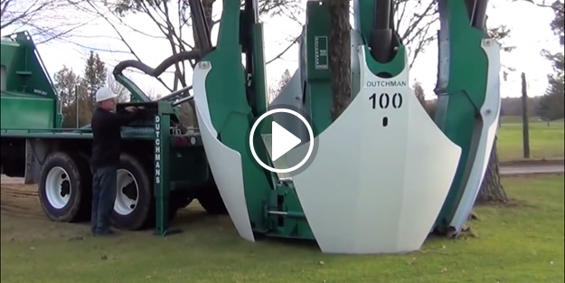 İlginç bir makine; ağaç taşıyor!