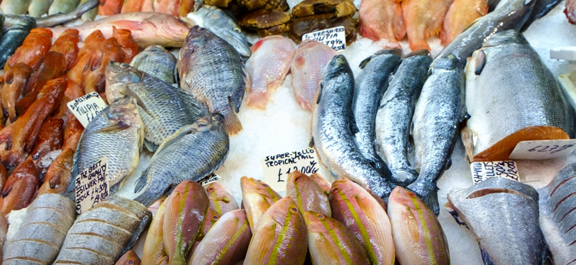 İlginç karar duyuruldu! Bu balığı avlayanlara fazladan para verilecek