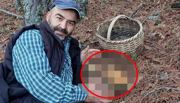 İlginç olay Sakarya’da gerçekleşti! Doğada mantar toplamaya giden vatandaş gördüğüne inanamadı! Yok artık daha neler