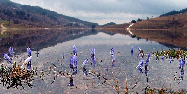 İlk cemre ne zaman düşecek? Baharın müjdecisi cemre hangi tarihlerde düşüyor? Cemre Nedir?