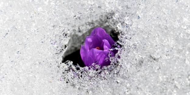 İlk cemre ne zaman düşecek?