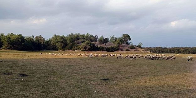 İlk defa bir iş yapacaklardı! Mera temeli atmışlar