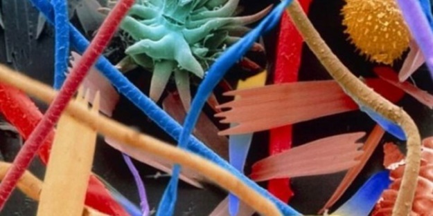 İlk defa bu kadar yakından göreceksiniz!