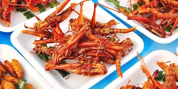 İlk defa duyacağınız ilginç bilgiler