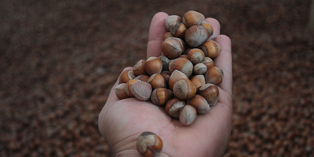 İlk kez bu kadar oluyor! Fiyatlar patladı artık yok satıyor