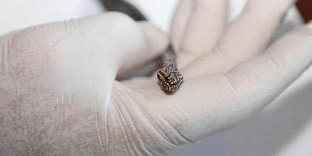 İlk kez bulundu! Ekipler harekete geçti