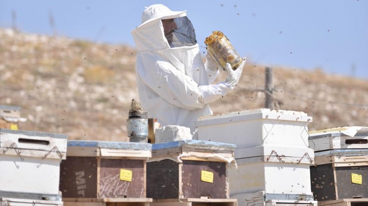 İlk kez denedi siparişlere yetişemedi