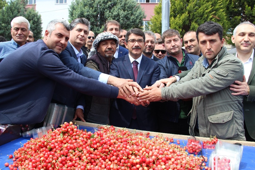 İlk kiraz 250 liradan satıldı 