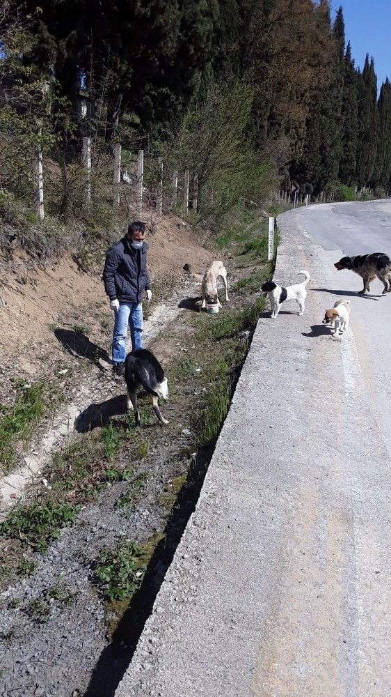 İlkadım’da sokak hayvanları için aralıksız mesai 